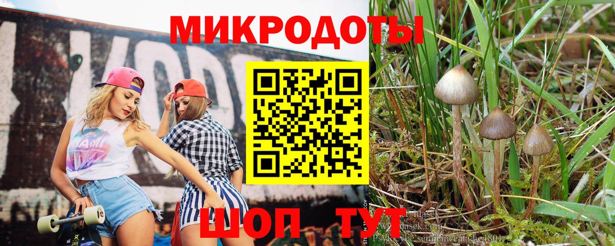 ГАШ  Вход с VPN  A-PVP СК   НБОМе  Кондопога  Меф МЯУ МЯУ   Бошки Шишки 