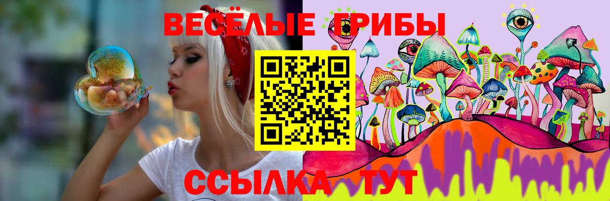 Псилоцибиновые грибы прущие грибы Кондопога